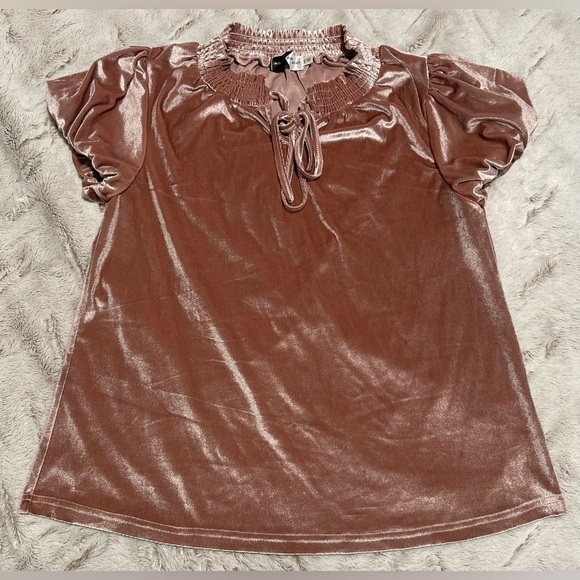 Piper & Scoot Tops - Piper & Scoot Women's Pink Velvet Puff Sleeve Blouse